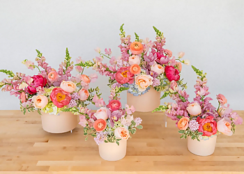 Tipton & Hurst Florist - Little Rock, AR Florists - Floral Arrangement Image