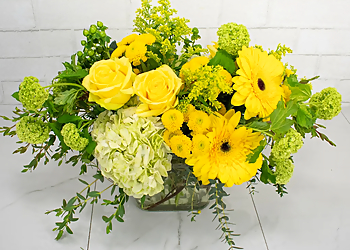 Tipton & Hurst Florist Tipton & Hurst Florist - Little Rock, AR Florists - Fresh Flowers Image