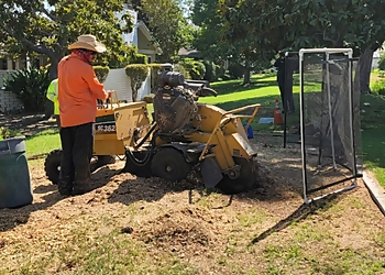 Orange Tree Services Tony's BC Tree Services