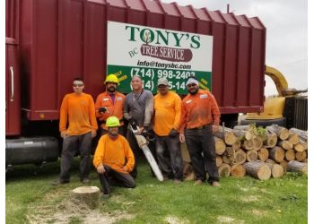 Tony's BC Tree Services Orange Tree Services
