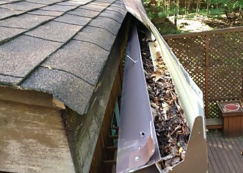 Washington Gutter Cleaners Tony's Gutter Cleaning