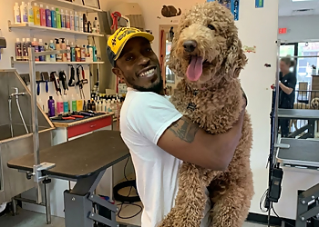 TopDawg Groomers - Philadelphia, PA Pet Grooming - Service Image