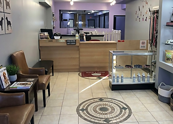 TopDawg Groomers - Philadelphia, PA Pet Grooming - Project Image