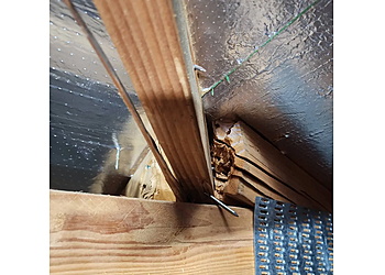 Santa Clarita Home Inspections Top Dog Certified Home Inspections