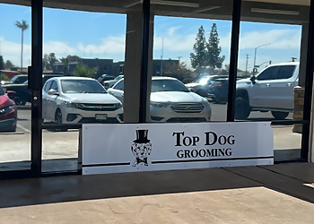 Top Dog Grooming Mesa Pet Grooming image 1