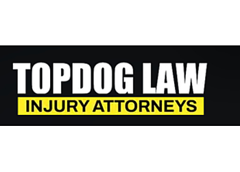 TopDog Law, LLC - Detroit, MI Medical Malpractice Lawyers - Law Firm Logo