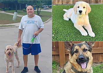 McKinney Dog Walkers Top Dog Pet Sitters, LLC