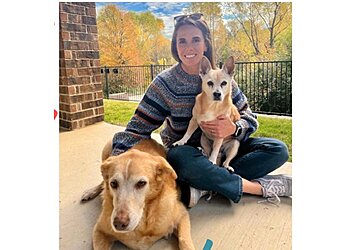 Fort Worth Dog Walkers Top Dog Pet Sitting And Dog Walking Service