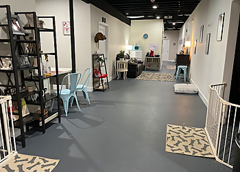 Top Dog of New Orleans Top Dog of New Orleans - New Orleans, LA Dog Training - Business Interior Image