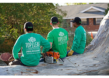 Top Leaf Tree Service Chandler Tree Services