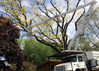 Des Moines Tree Services Top Notch Tree Care