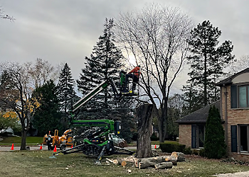 Lansing Tree Services Top Notch Tree Care