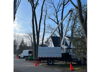 Top Notch Tree Care Lansing Tree Services