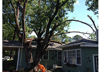 Top Notch Tree Service Huntsville Tree Services image 1