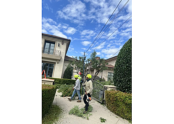 Top Notch Tree Services - Pasadena, CA Tree Services - Team Working Image