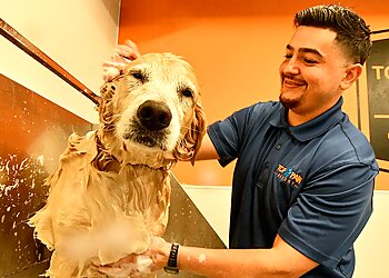 Carrollton Pet Grooming Top Paw Resort