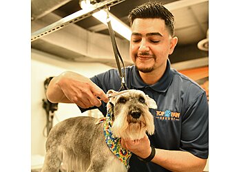 Carrollton Pet Grooming Top Paw Resort