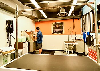 Top Paw Resort Carrollton Pet Grooming image 1