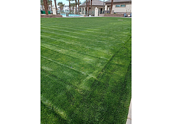 Glendale Lawn Care Services Top Quality Lawn & Ground Service