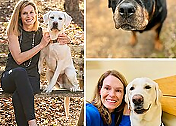 Top Tails of Greensboro - Greensboro, NC Dog Walkers - Business Gallery Image