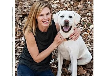 Top Tails of Greensboro LLC Greensboro Dog Walkers image 1