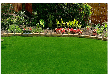Charlotte Lawn Care Services Top Turf Lawn Care and Pest Management