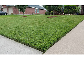 Fort Worth Lawn Care Services Top Turf Lawn Care and Pest Management