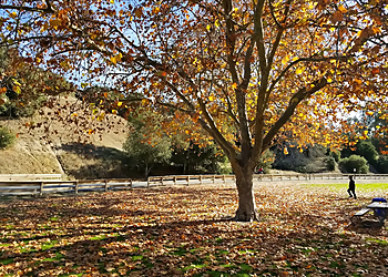 Toro County Park Toro County Park - Salinas, CA Hiking Trails - Destination Image
