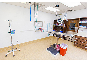 Salinas Veterinary Clinics Toro Park Animal Hospital