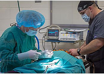 Salinas Veterinary Clinics Toro Park Animal Hospital