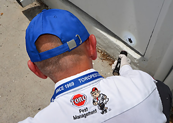 Hialeah Pest Control Companies Toro Pest Management