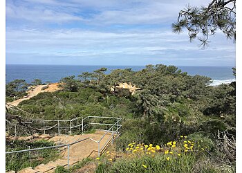 San Diego Hiking Trails Torrey Pines State Natural Reserve