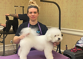 Cape Coral Pet Grooming Touch of Class Pet Grooming