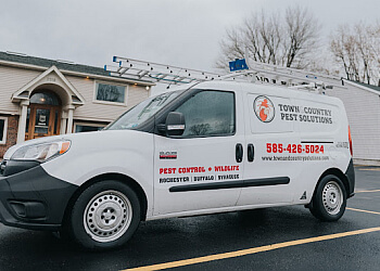 Rochester pest control company Town & Country Pest Solutions INC.