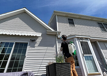 Rochester Pest Control Companies Town & Country Pest Solutions, Inc.