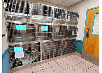 Town and Country Animal Hospital - Miami, FL Veterinary Clinics - Clinic Interior Image