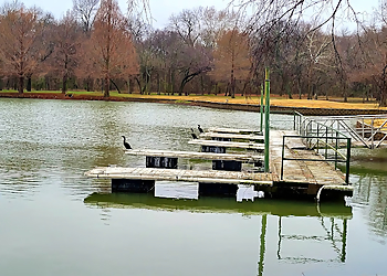 McKinney Public Parks Towne Lake Park
