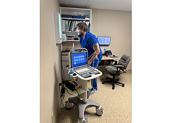 Shreveport Veterinary Clinics Towne South Animal Hospital