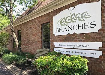 Murfreesboro Marriage Counselors Tracey Robison, LPC, MHSP - BRANCHES