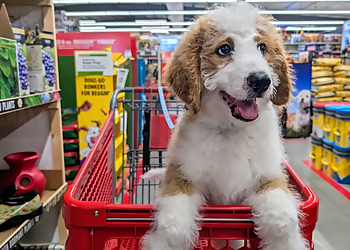 Wichita Falls Pet Stores Tractor Supply Co.