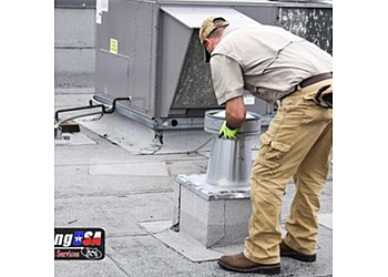 Carrollton Animal Removal Trapping USA Animal Removal & Pest Control