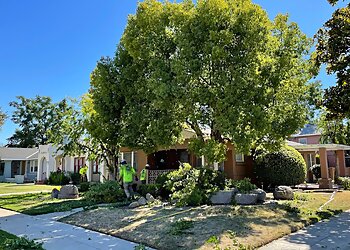 Fresno Tree Services Travis' Tree Services