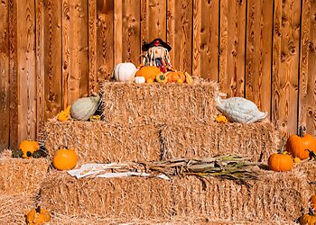 Portland Event Management Companies Treadway Events & Entertainment Co. LLC