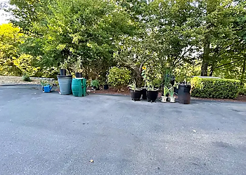 Seattle Tree Services Tree133 Professional Arborists