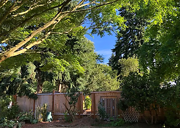Seattle Tree Services Tree133 Professional Arborists