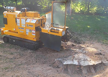 Columbus Tree Services Tree Brothers Tree Service