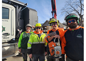 Des Moines Tree Services TreeHugger Complete Tree Care Service