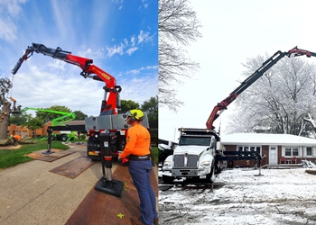 Des Moines Tree Services TreeHugger Complete Tree Care Service