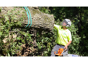 TreeHugger Complete Tree Care Service