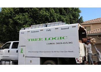 Chandler tree service Tree Logic 
